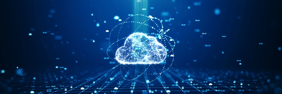 Virtualization or the cloud? How to choose the right solution for your business